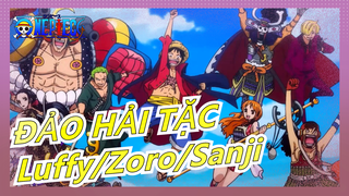 [ĐẢO HẢI TẶC] Luffy! Zoro! Sanji! Cho bạn xem sức mạnh của Of ĐẢO HẢI TẶC!