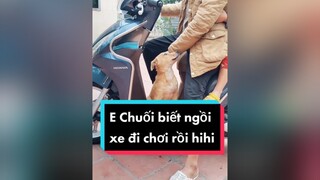 E Chuối thông minh ko cả nhà ơi. cunyeucuadua chó chócon chókhôn chócute huanluyencho huanluyen huấnluyện