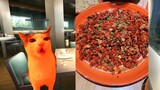 【Cat meme】The story of eating Sichuan cuisine with friends