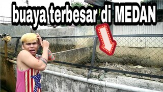 penangkaran  BUAYA terbesar seindonesia dan asia tenggara || ternak buaya viral | makan tatto