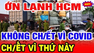 🛑GHÊ R.ỢN: BÍ MẬT KI/NH HOÀNG Trong Chiếc Xe Tải Vào TPHCM, Bà Con KHÓC THÉ'T Khi Biết Thứ Trong Xe