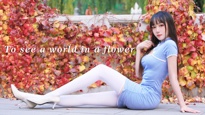 ❀To The World Where You Are ❀ Cheongsam and Stiletto Heels