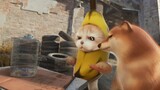 Banana cat playing with firecrackers (60hz)