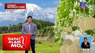 Isang prutas sa Japan, aabot sa P1.8 milyon ang presyo kada piraso? | Dapat Alam Mo!