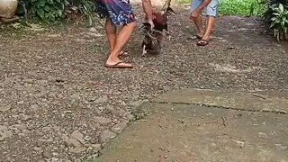 last testfight #1 for this coming wednesday fight