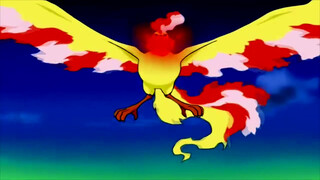 Pokémon AMV – The Legendary Birds – Miracle