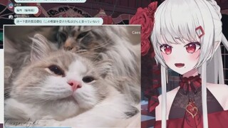 日本辣妹看顶级猫片