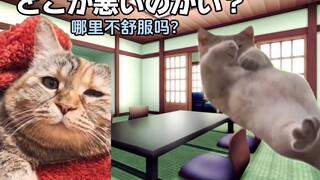 【熟/猫meme】去奶奶家玩时的故事