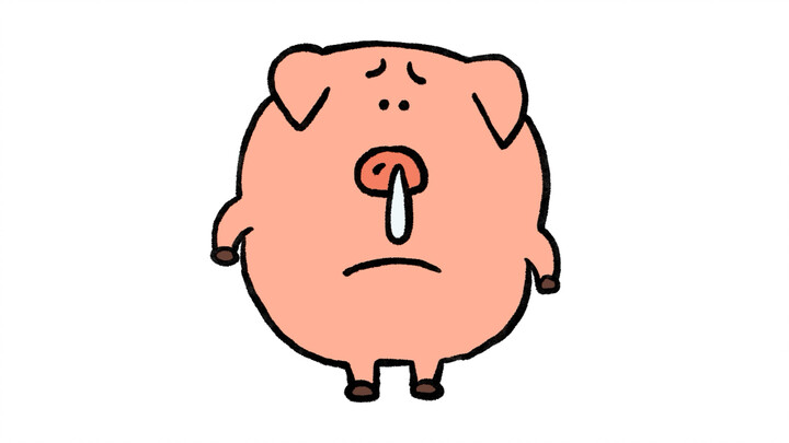 Piglet Chicory is sick!