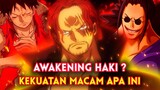 AWAKENING HAKI !! Kekuatan Haki "PALING DAHSYAT" Membuat lawan ketakutan ( One Piece )