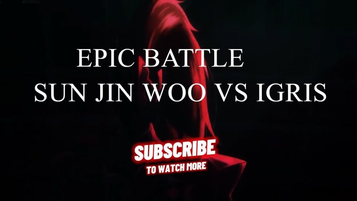 SUN JIN WOO VS IGGRIS
