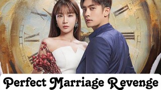 Perfect Marriage Revenge (2023) Episode 1 English SUB