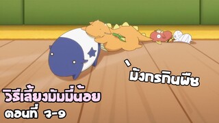 วิธีเลี้ยงมัมมี่น้อย (สปอยอนิเมะ) Miira no Kaikata ตอนที่ 7-9