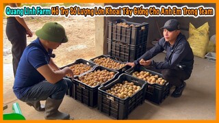 Quang Linh Farm Hỗ Trợ Số Lượng Giống Khoai Tây Cực Lớn Cho Toàn Bộ Anh Em Trong Team Châu Phi