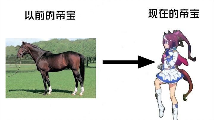 以前的帝宝看到现在的帝宝一定会很开心吧