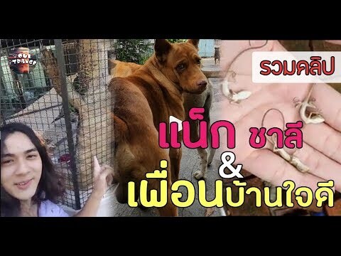 รวมคลิป "แน็ก ชาลี" & ผองเพื่อน | อย่างฮามาก !!