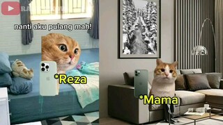 SUPIR GHOIB|MEME KUCING HORROR