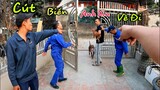 Phương QN|Tự Ý Mang Chó Poodle Của Sư Phụ Đi Cắt Tỉa Lông Trụi Húi Bị Đuổi Khỏi Team