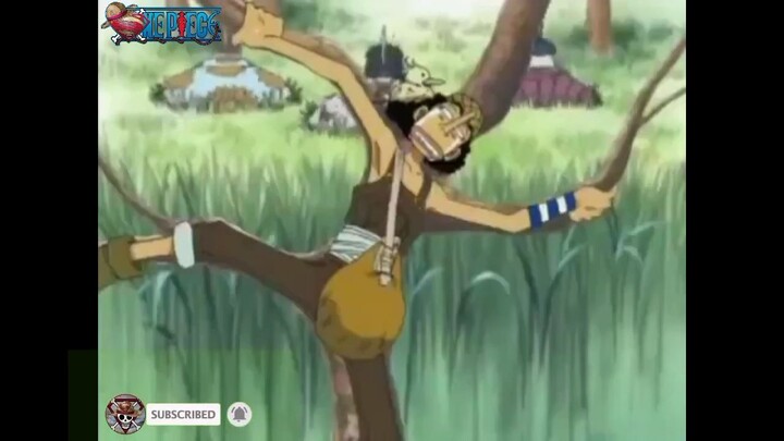 Usopp ẩn thân chi thuật. Narusopp