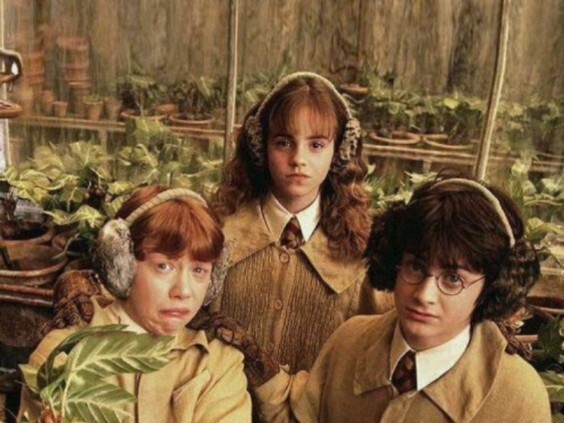 Hermione and her two babies