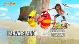 *Larva Island Season 1 Episode 4 English Dubbed* "Chuck" Note Full Episode HD