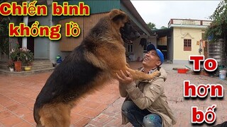 Những Chiến Binh Thép Tương Lai Của Săn Bắt Ẩm Thực Vùng Cao