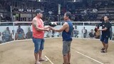 3rd fight WIN 3 stag cock combo dervy entry name TiGRE Ng DAVAO 💪