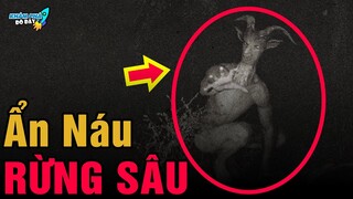 ✈️ 6 Khu Rừng Bí Ẩn và Đáng Sợ Nhất Thế Giới Bước Vào Cẩn Thận Một Đi Không Trở Lại |Khám Phá Đó Đây