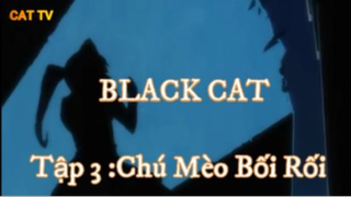 Chú Mèo Bối Rối ( Short Ep 2 ) #Blackcat