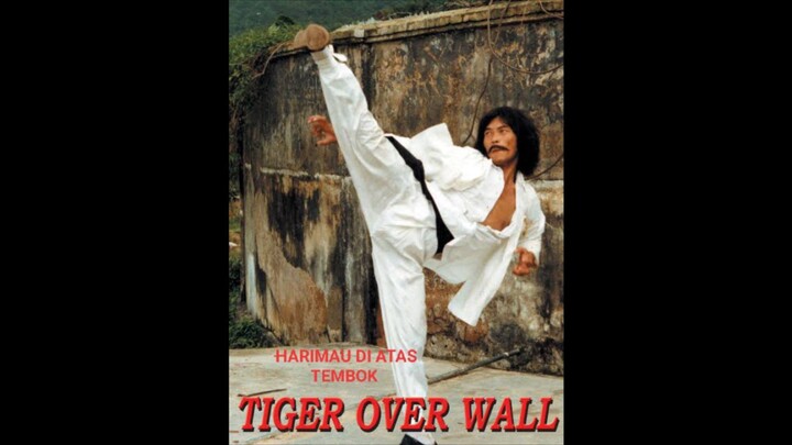 TIGER OVER WALL