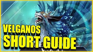 LOST ARK Velganos mechanics Guide (SHORT VERSION)