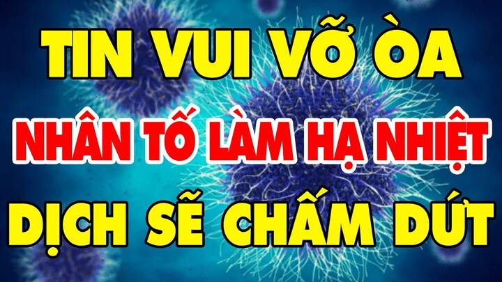 🔥 Tin Cực Nóng Covid-19 Ngày 9/1 | Thông tin khẩn từ Bộ Y tế | Tin Tức 247