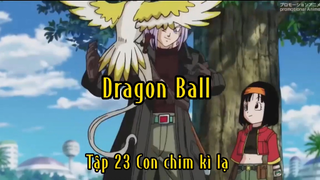 Dragon Ball_Tập 23 Con chim kì lạ