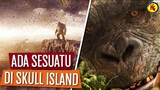 Skull Island Sudah Tidak Aman Untuk Kong | Cuplikan Terbaru GODZILLA VS KONG