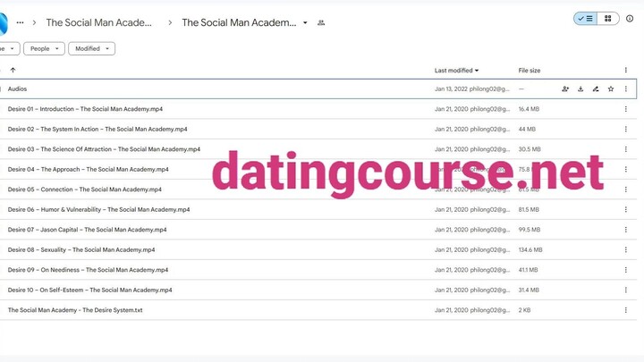 The Social Man Academy - The Desire System