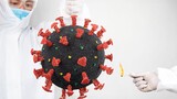 สร้างแบบจำลองไวรัสโคโรนาจากไม้ขีดไฟ 20,000 ก้าน