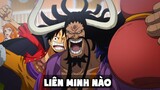 Kaido CÒN SỐNG ĐỂ LIÊN MINH với Luffy - One Piece