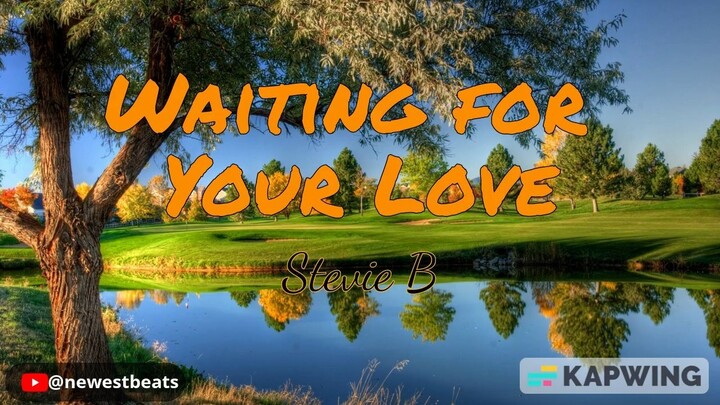 Waiting For Your Love - Stevie B mp4