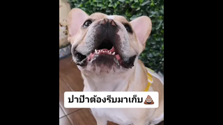 น้อยหนังว่าป๊าต้องรีบมาเก็บ...