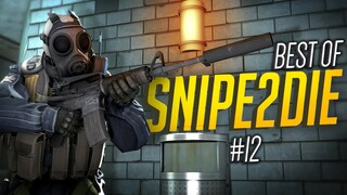 CS:GO - BEST OF Snipe2Die #12