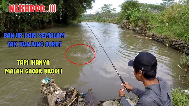 NEKADD..!! Mancing Setelah Banjir Semalam... IKANYA MALAH GALAK!!