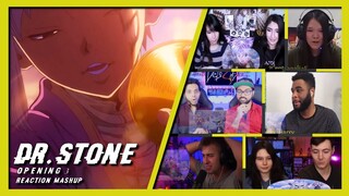 DR. STONE OPENING 3 | REACTION MASHUP😱