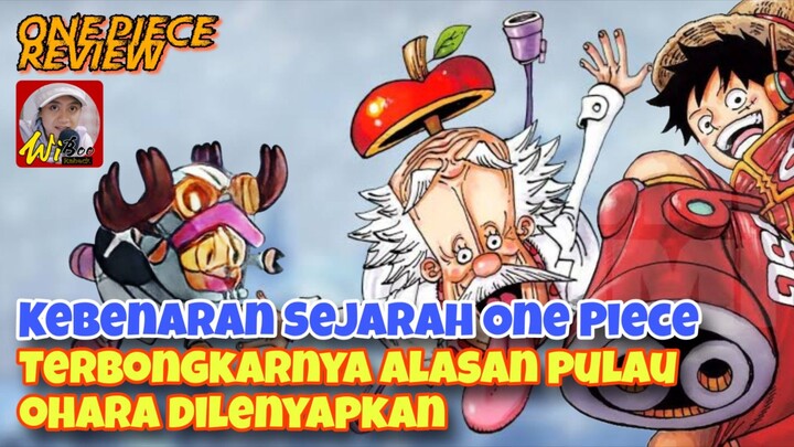 Alasan Pulau Ohara Dilenyapkan, Terbongkarnya Sejarah One Piece 1096