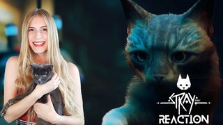 FIRST REACTION (Starring MY CAT Twinkle) | Stray Gameplay Trailer