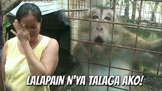 BABAE, SINUNGGABAN NG UNGGOY NA NAGKAKATOL | Tenrou21