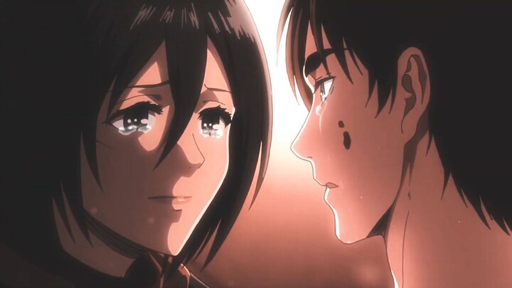 Eren Và Mikasa  | Tình Yêu Giản Đơn