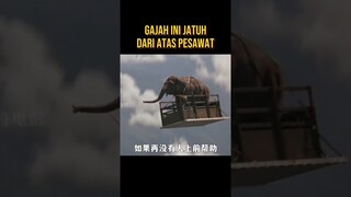 GAJAH INI TERJUN BEBAS DI UDARA #alurceritafilm #film