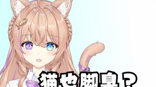 Do cats have smelly feet?