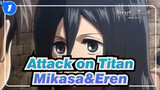[Attack on Titan] Mikasa&Eren Cut Compilations_B1