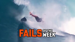 Nature Strikes Back - Fails of the Week | FailArmy